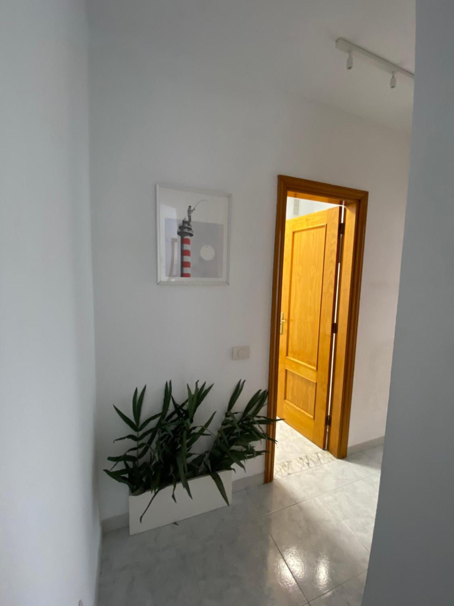 Moderno Y Familiar Live Cruz Centro Appartement *